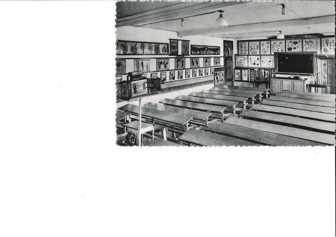 Facultés Universitaires Notre-Dame de la Paix. Namur. Auditoire de Botanique