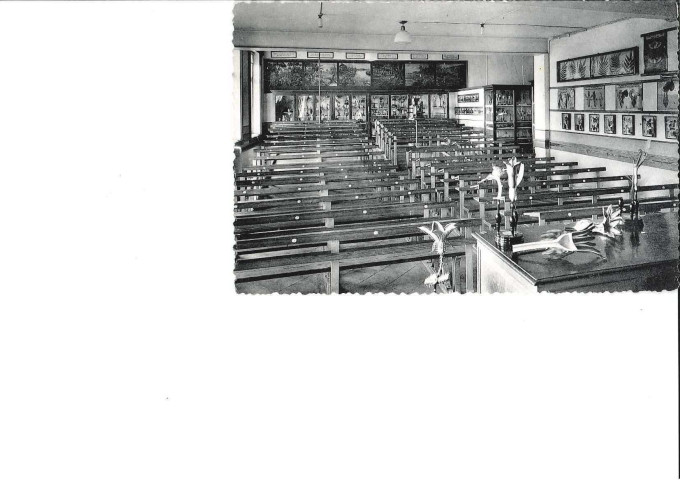 Facultés Universitaires Notre-Dame de la Paix. Namur. Auditoire de Botanique