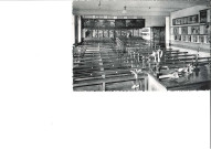 Facultés Universitaires Notre-Dame de la Paix. Namur. Auditoire de Botanique