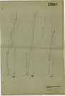 PLAINE_théâtre_coupes_B